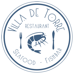 VillaDeTorre_Logo_DEF500